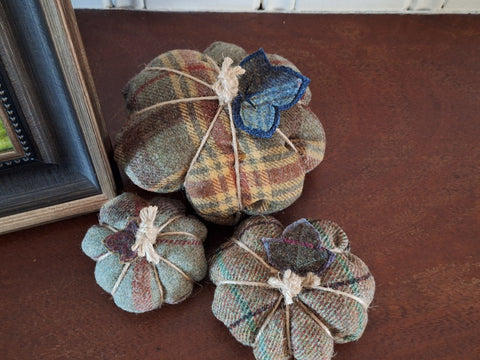 Tweed Pumpkins - Apple Orchard
