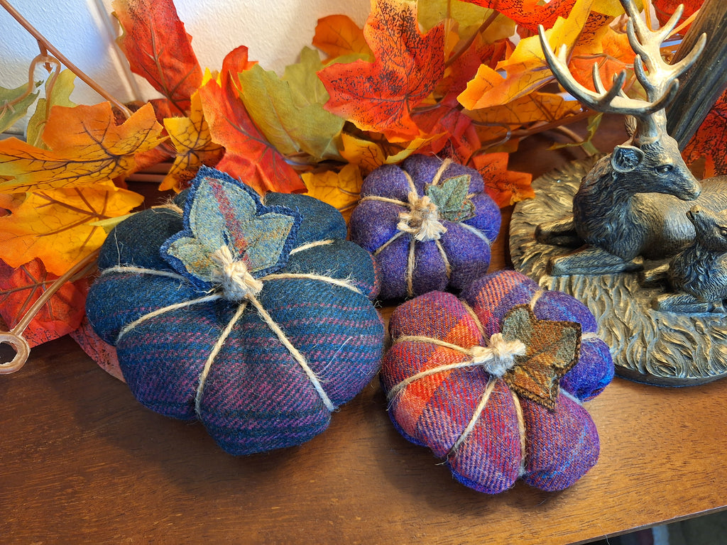 Tweed Pumpkins - Mixture of Purple Hues