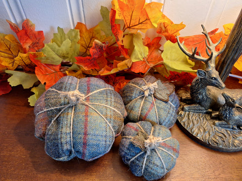 Tweed Pumpkins - Mole
