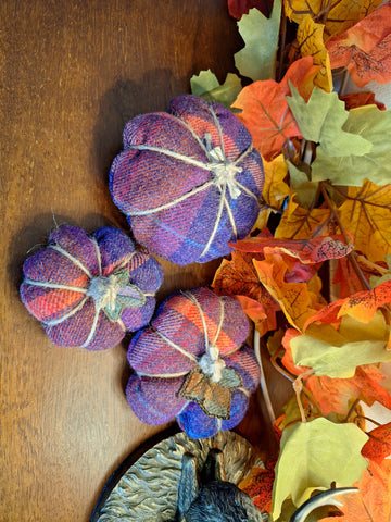 Tweed Pumpkins - Fire Cracker