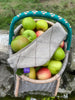 Classic Headband- Autumn Oat