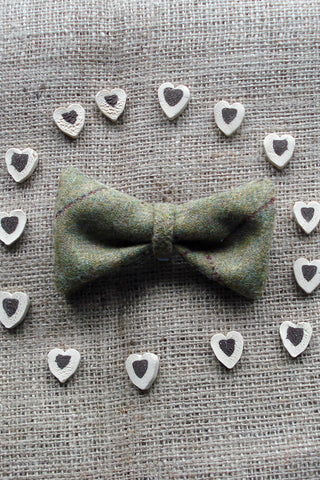 Doggy Bows- Crisp Sage